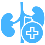 Kidney Transplantation